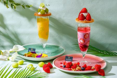新・夏のひんやり体験！飲む×食べるの新感覚ハイブリ