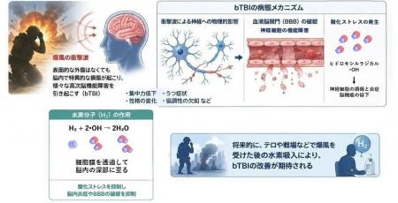 低濃度水素吸入が爆風由来TBIのうつ・社会性障害を抑