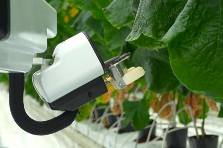 AGRIST、きゅうり農家の下葉かき・摘果作業時間を最大