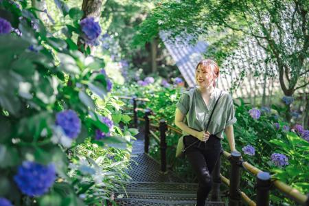 【鎌倉プリンスホテル】梅雨の鎌倉を彩る紫陽花と古都