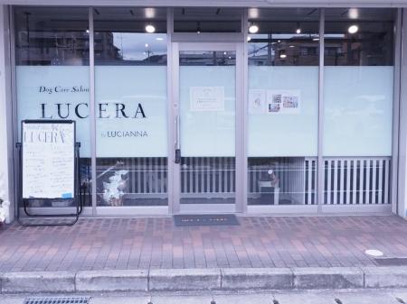 【西宮市夙川に新店舗オープン】“水”からこだわる皮膚