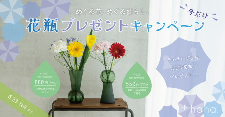 雨の日にも、花を。 +hana「めぐる花、めぐる暮らし。