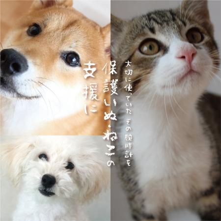 6月5日(金)～腕時計専門店「TiCTAC（チックタック）」