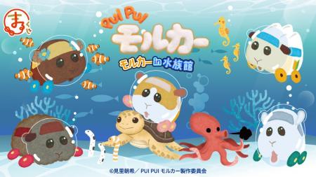 『PUI PUI モルカー』モルカーin水族館 オンラインく