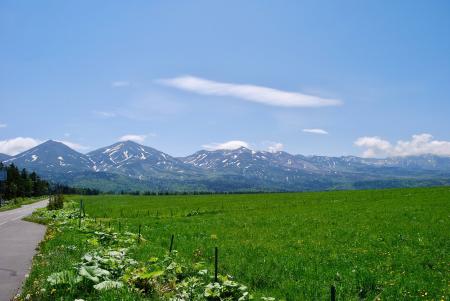 花咲き誇る富良野：ノゾホテルがガイドする初夏の北海