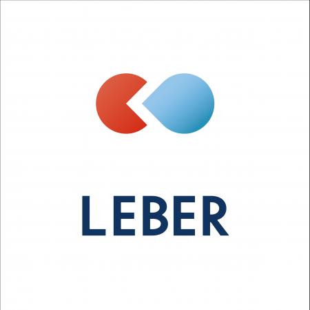 リーバー、内閣府「スーパーシティ先端的サービス事業