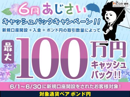 【新規口座開設限定】6月あじさい最大100万円キャッシ