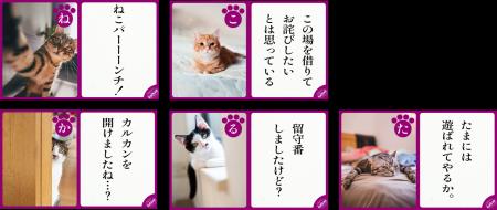 愛猫の心も体も満たせる「カルカン（R） やわらutf-8