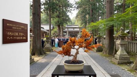 伝統の盆栽美を次世代へ　日本プレザーブド盆栽utf-8