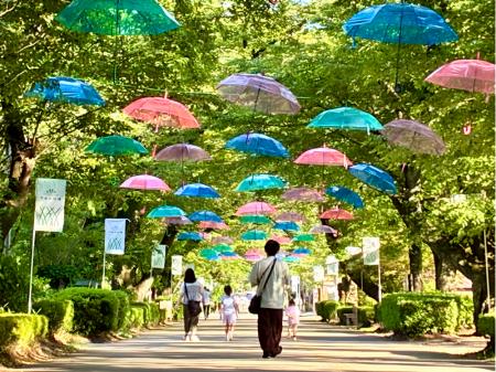 梅雨の那須千本松牧場を200本の傘で彩る「千本松utf-8