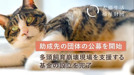 犬猫生活福祉財団、多頭飼育崩壊現場の支援を目的とし 犬猫生活福祉財団、多頭飼育崩壊現場の支援を目的とし