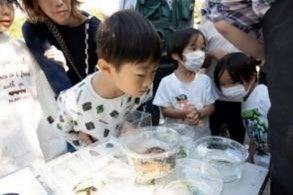 「イオン ふるさとの森 いきもの調査２０２６」を開始