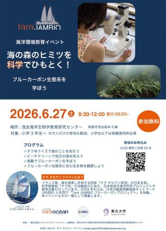 海の森のヒミツを科学でひもとく! 海の森のヒミツを科学でひもとく!