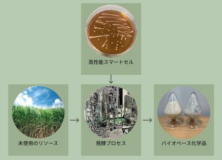 BioPhenolics、NEDO「DTSU支援事業 GX STS枠」に採択 BioPhenolics、NEDO「DTSU支援事業 GX STS枠」に採択