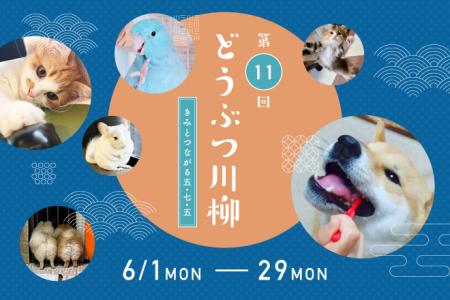 アニコム損保の第十一回「どうぶつ川柳」作品募集を開 アニコム損保の第十一回「どうぶつ川柳」作品募集を開
