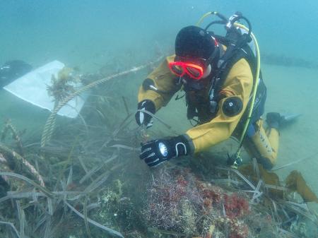 世界自然遺産・知床のまち北海道羅臼町にて、豊かな海 世界自然遺産・知床のまち北海道羅臼町にて、豊かな海