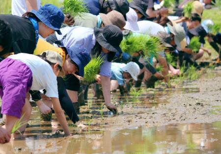 うかい×東京八王子酒造 創業の地八王子で地産の協奏 うかい×東京八王子酒造 創業の地八王子で地産の協奏