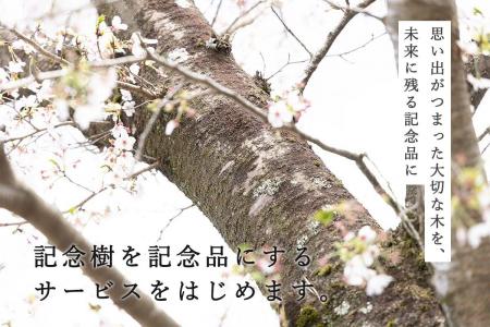 大切な木から記念品製作サービス「tree timeless」を