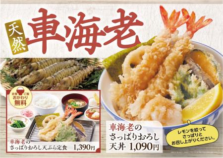 【天丼・天ぷら本舗 さん天】6/4(木)~「天然車海老 【天丼・天ぷら本舗 さん天】6/4(木)~「天然車海老