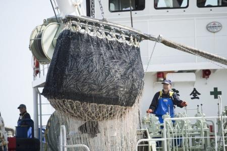 【国内初】太平洋マイワシ由来の魚油で世界基準「Frie