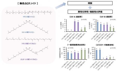 【名城大学】次世代の化粧品・食品素材の開発へutf-8