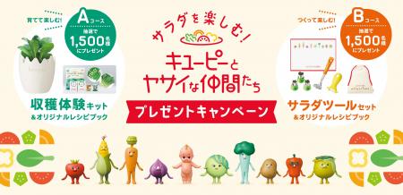 収穫体験やサラダ作りができる「サラダを楽しむ！キユ
