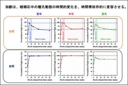 【摂南大学】暗闇適応時の瞳孔反応は時間帯や加齢で変