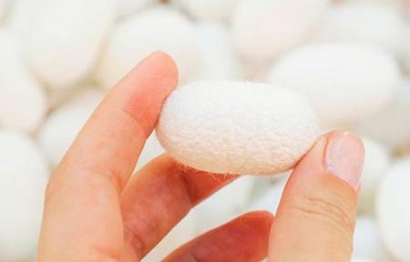 消滅の危機に瀕する日本の養蚕業を「シルク肌ケア」で