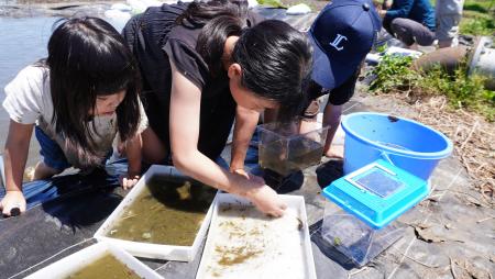 職員有志の手作り生態系「ビオトープ」　つくば市谷田