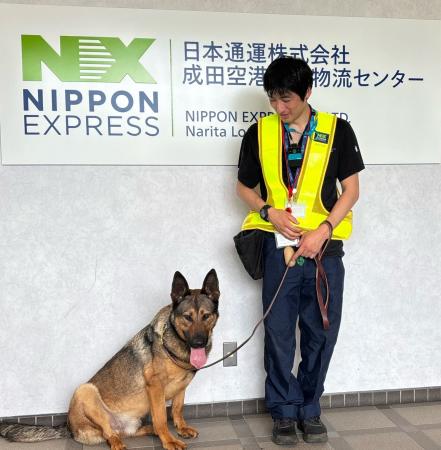 日本通運、成田拠点で爆発物探知犬（EDD）の運用を開