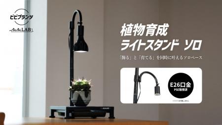 ビザールプランツをこの一鉢から極める。室内育成の飾