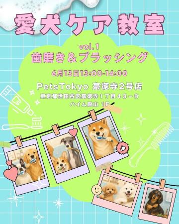 【PetsTokyo 豪徳寺2号店】愛犬ケア教室【歯磨き＆ブ