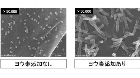小林製薬のヨウ素研究が日本防菌防黴学会「論文賞」を