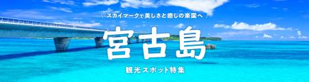 スカイマークで美しさと癒しの楽園へ♪今年も飛びます