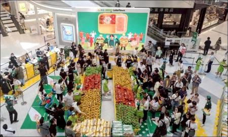 キウイフルーツの大規模試食販売会 「ゼスプリキウイ