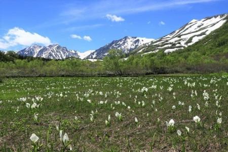 長野県HAKUBAVALLEY 「つがいけマウンテンリゾート」