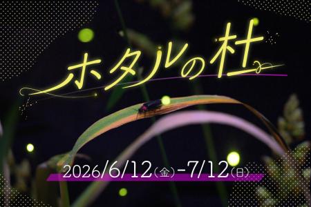 【仙台うみの杜水族館】未来へつなぐ、淡く優しいホタ