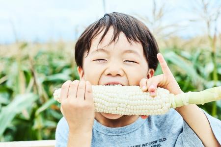 高輪ゲートウェイに、とうもろこし畑が出現!? メロン