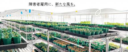 株式会社NEXT ONE、千葉大学・ジャパンプランツテクノ