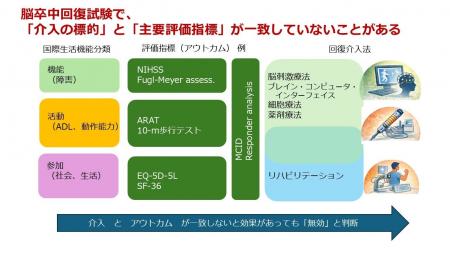【新潟医療福祉大学】脳卒中後の回復を目指した研究へ