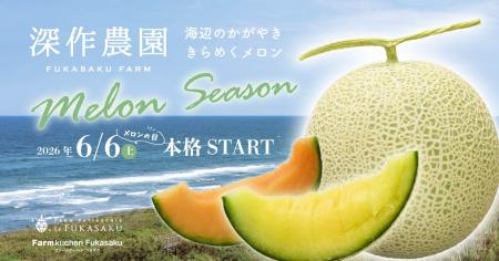 深作農園のメロンシーズン　6/6(土)メロンの日かutf-8
