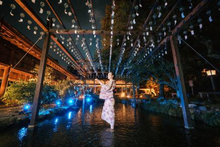 世界遺産　上賀茂神社　夏のライトアップ～龍神utf-8