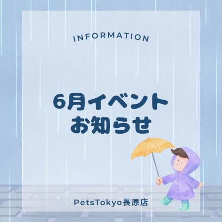 【PetsTokyo 長原店】わくわくくじ引き＆大感謝キャン
