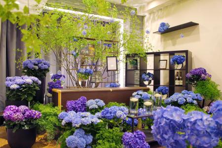 紫陽花祭壇が5年で3.8倍 「記憶に残る葬儀」ニーズ拡