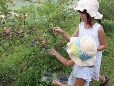 【JAF埼玉】夏休みにおすすめ！お子さまとの体験にピ