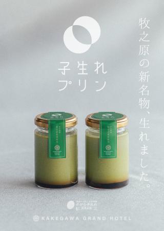 「食べる煎茶」ホテルパティシエ監修の茶葉香るスイー