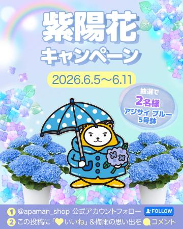 6月限定｜ べあ～君 紫陽花キャンペーン2026開催中！