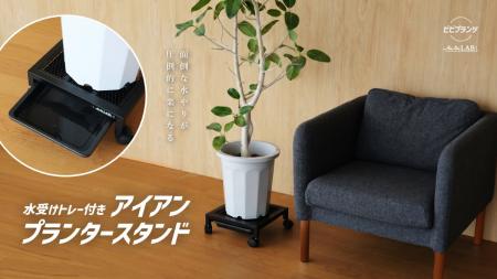 大きい観葉植物の重たい鉢、もう持ち上げなくていいん