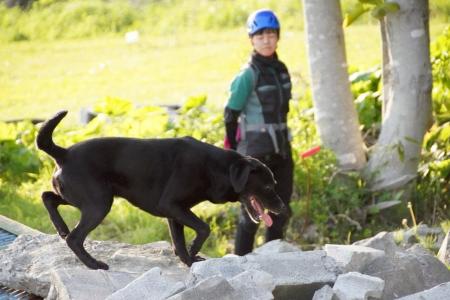 RDTA国際救助犬試験開催in北海道登別市 RDTA国際救助犬試験開催in北海道登別市