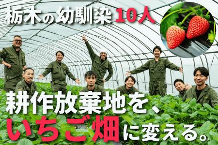 栃木の30歳・幼馴染10人が耕作放棄地をいちご畑に変え 栃木の30歳・幼馴染10人が耕作放棄地をいちご畑に変え